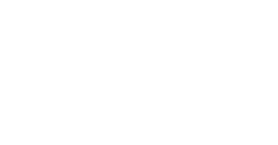 Logo bti white